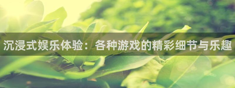 jjb竞技宝(中国)