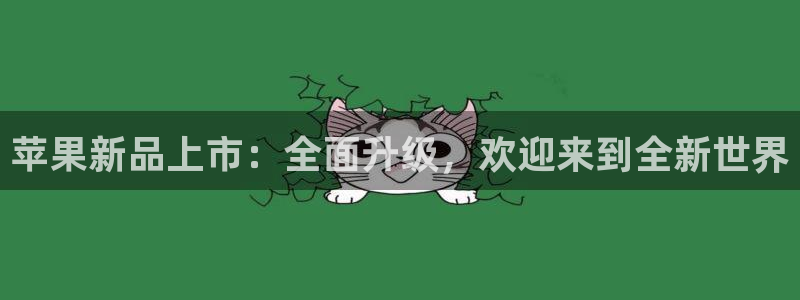 jjb竞技宝