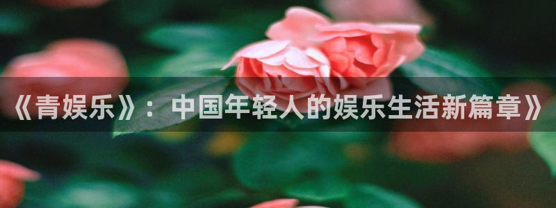 jjb竞技宝官网