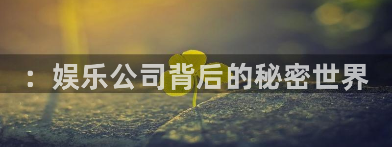 jjb竞技宝入口