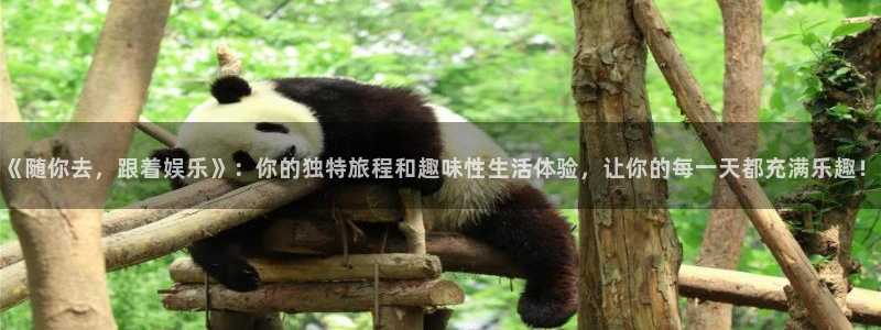 jjb竞技宝app