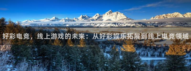 jjb竞技宝官网